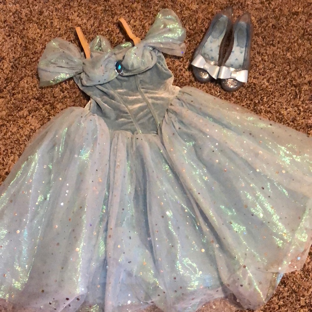 Cinderella Dance Costume / Halloween costume